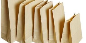 Shopping Brown Kraft Paper Bags
