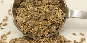 Natural Dill Seeds
