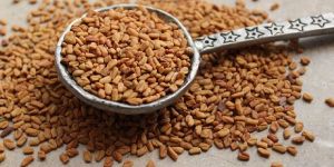 Natural Fenugreek Seeds