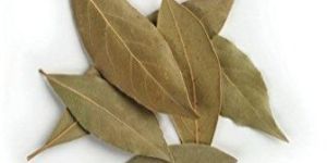 Organic Bay Leaves