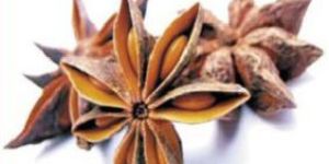 Star Anise Pods