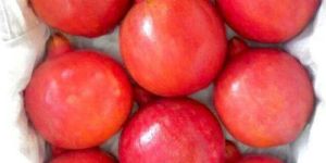 Fresh Pomegranate