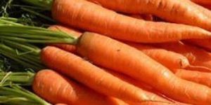 Fresh Red Carrot