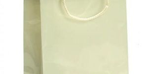 Laminated Paper Carry Bag