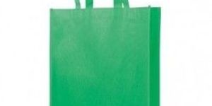 Plain Non Woven Bag