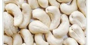 Raw Cashew Nut
