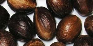 Shelled Nutmeg