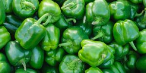 Organic Capsicum