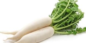 Organic Radish