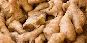 Fresh Ginger