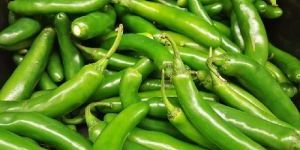 Fresh Green Chilli