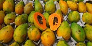 Fresh Papaya