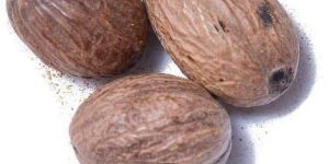 Nutmeg