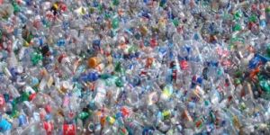 Recycled Pet Bottle Scrap
