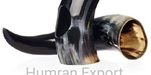 Viking Horn with Horn Holder