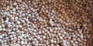 Raw White Pepper