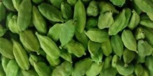 Small Green Cardamom
