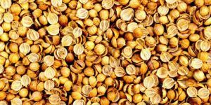 Split Coriander Seeds