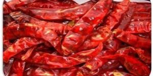 Stemless Red Chilli