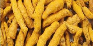 Yellow Turmeric Finger