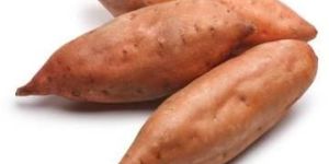 Sweet Potato