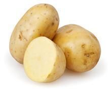 Yellow Potato