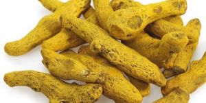 Organic Turmeric Finger