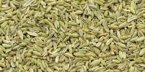 Premium Fennel Seeds