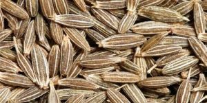 Premium Organic Cumin Seeds