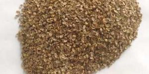 Split Coriander Seeds