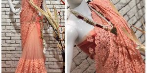 Net Work Sarees