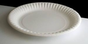 Small Paper Plate
