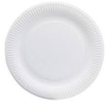 White Paper Plate
