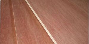 Commercial Plywood