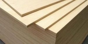 Plain Plywood
