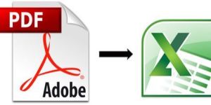 PDF to Excel Data Entry Services