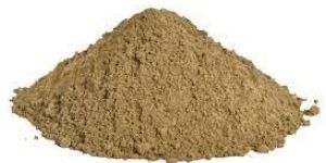 Organic Brahmi Powder