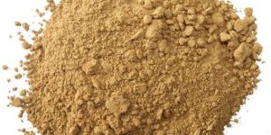 Organic Shikakai Powder
