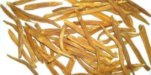 Yellow Shatavari Roots