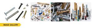 Machine Screws Fasteners