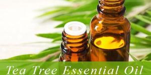 Tea Tree Oil