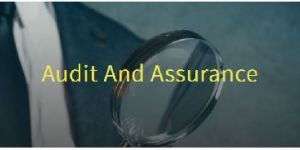 Audit & Assurance Services