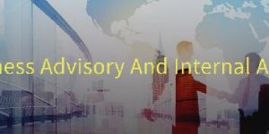 Business Advisory & Internal Audit Services