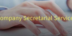 Company Secretarial Services