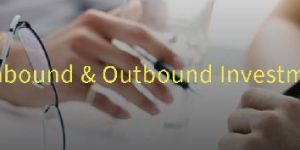 Inbound & Outbound Investment & FEMA Advisory Services