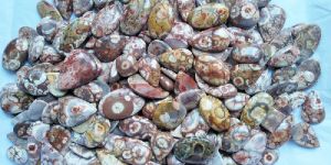 Birdeye Stone Cabochon