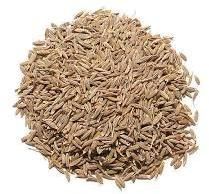Whole Cumin Seeds