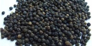 Black Pepper Extract