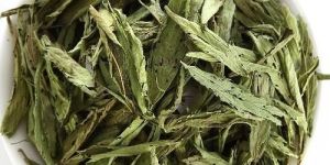 Stevia Leaves Dry