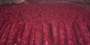 Clearing and Forwarding Services